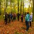 Herbstwanderung.JPG