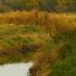 An der Barthe.jpg