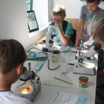 Informationsstützpunkt in Obermützkow - Naturerschließung mit Kindern