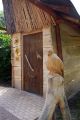 Eingangsportal zu der Schreiadlervoliere im Vogelpark Marlow